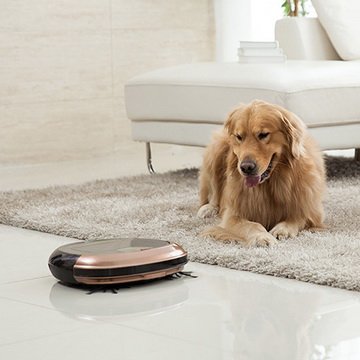 Собирает шерсть животных